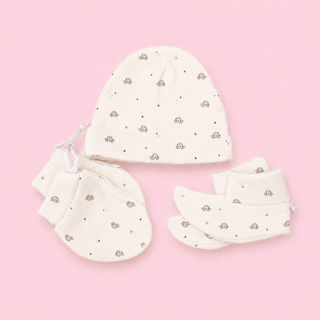Gift Bundle |  Turtle Print | Pre curated | Basic Pack