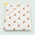 Premium Wrapper | Baby Blanket |Teddy Star